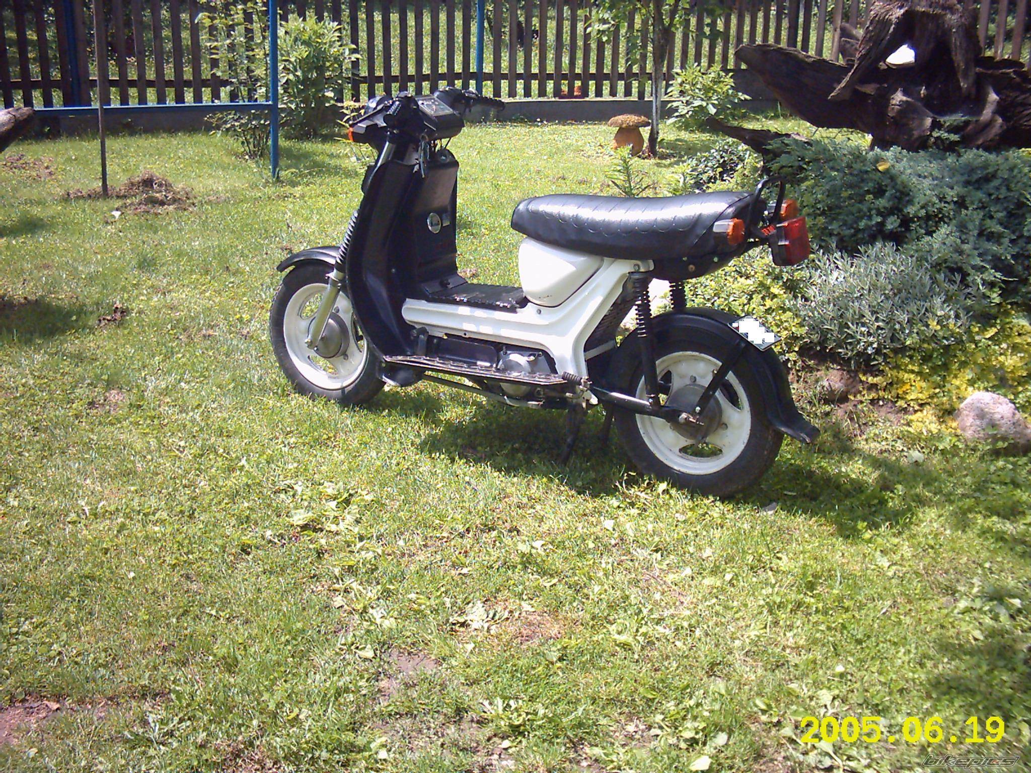 Photo 376991