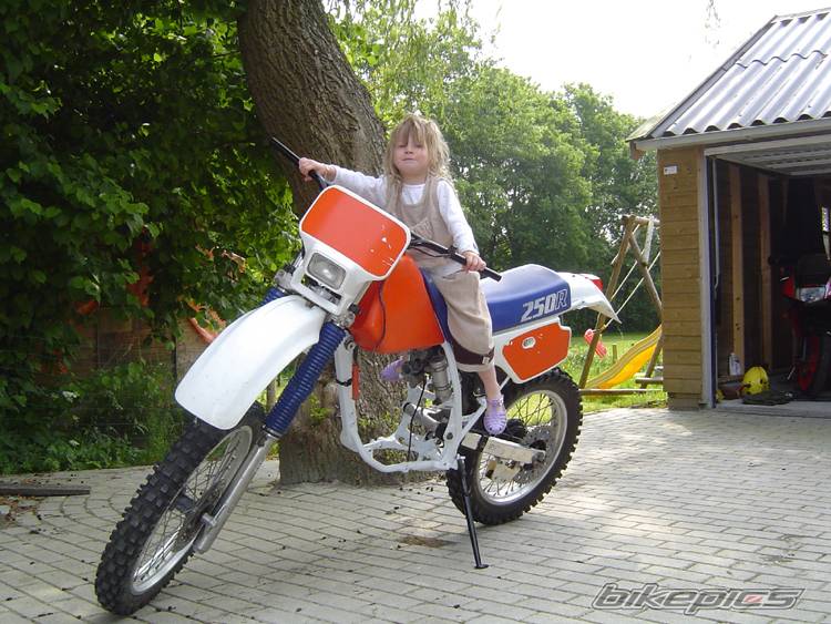 Photo 377192