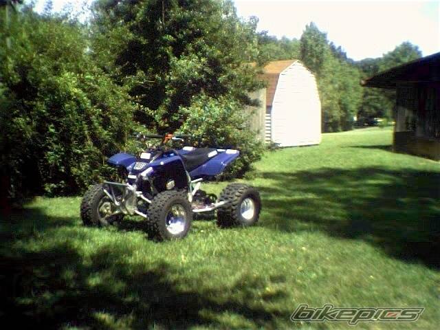 Photo 37721