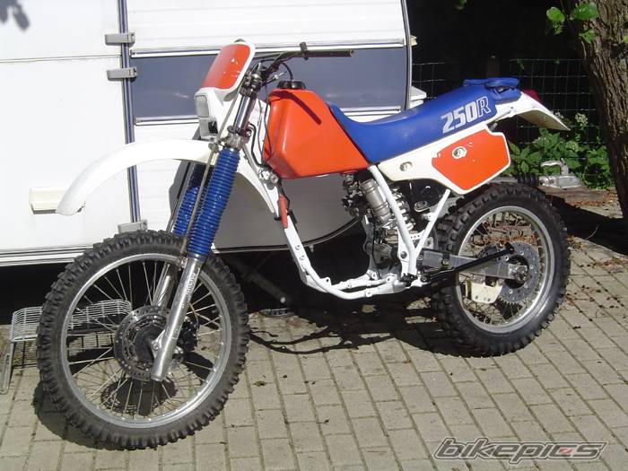 Bike Photo 377218