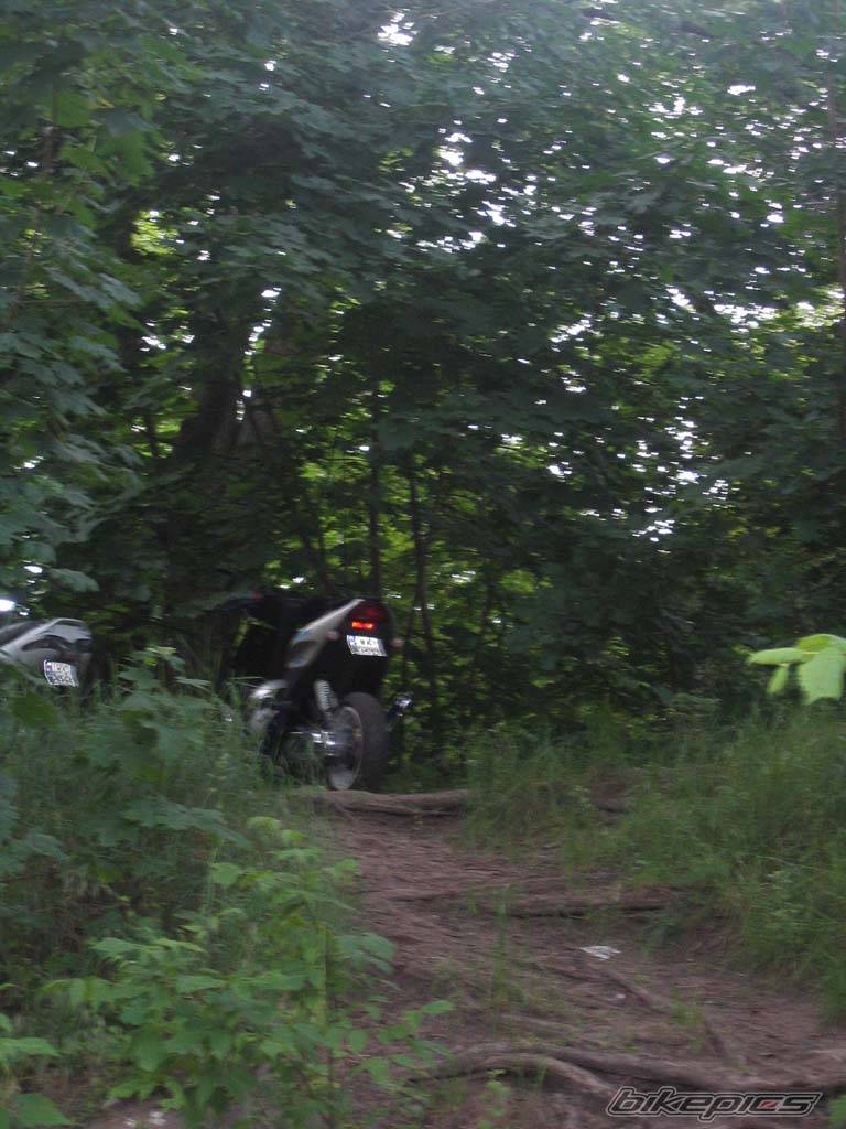 Bike Photo 377225