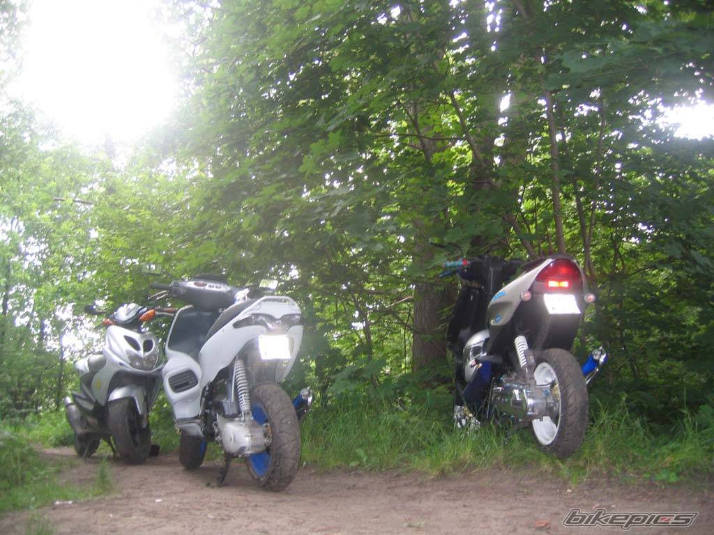 Bike Photo 377226