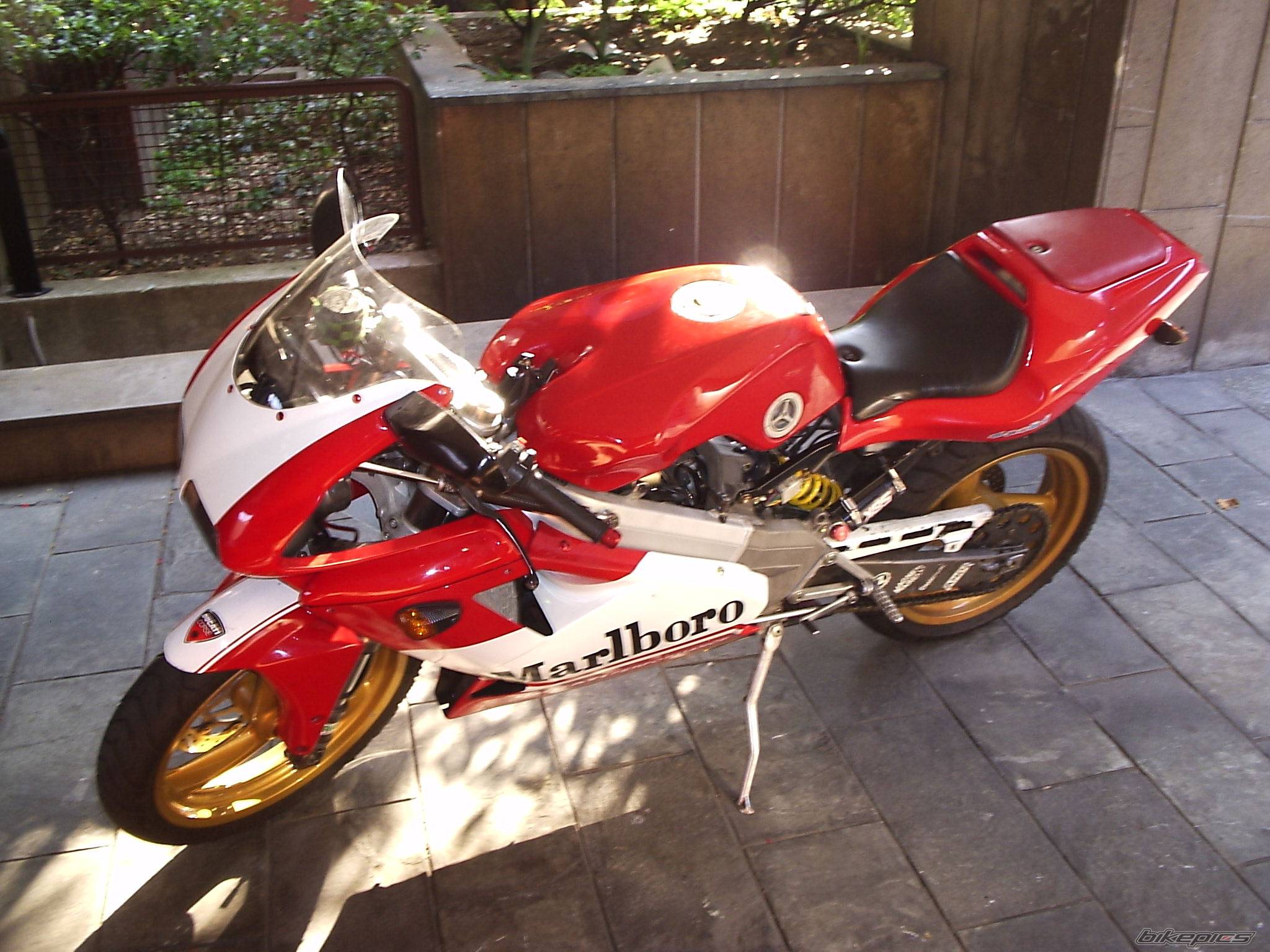 Photo 377253