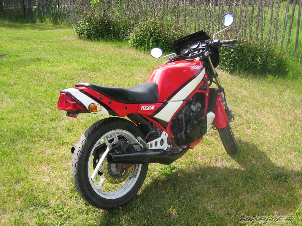 Photo 377255