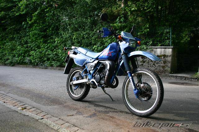 Photo 377269