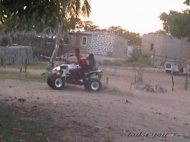 Photo 377275