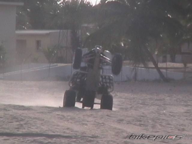 Photo 377286