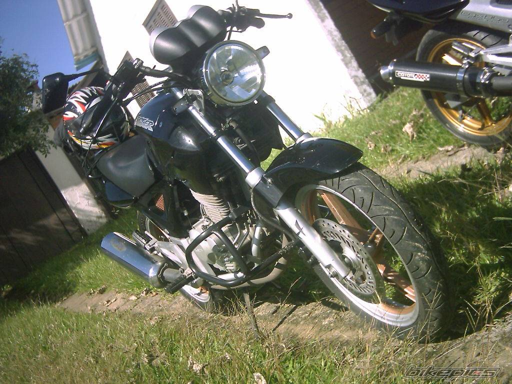Photo 377300