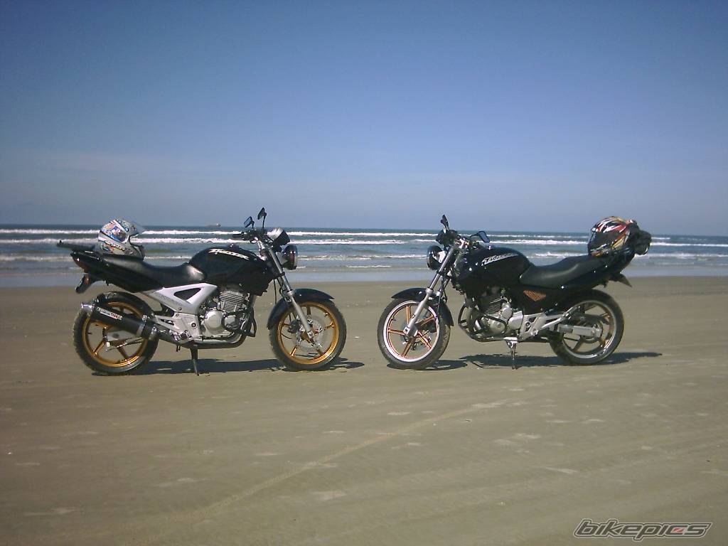 Photo 377307