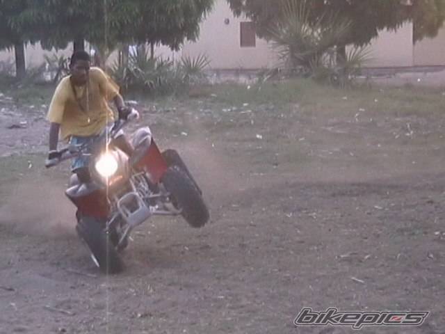 Photo 377351