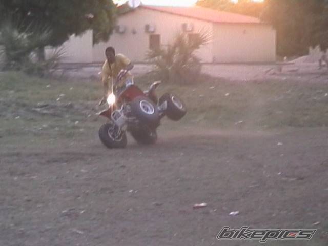 Photo 377360