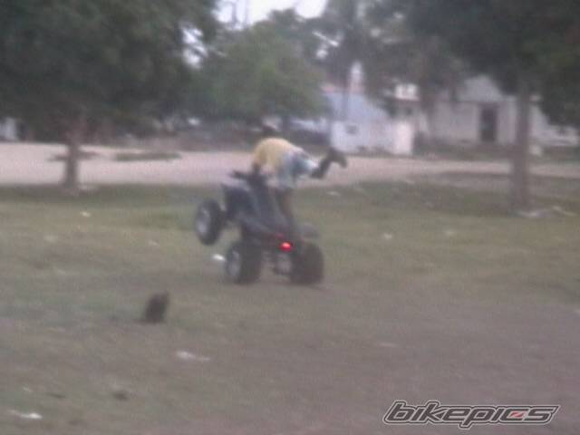 Photo 377365