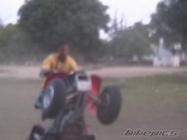 Photo 377366