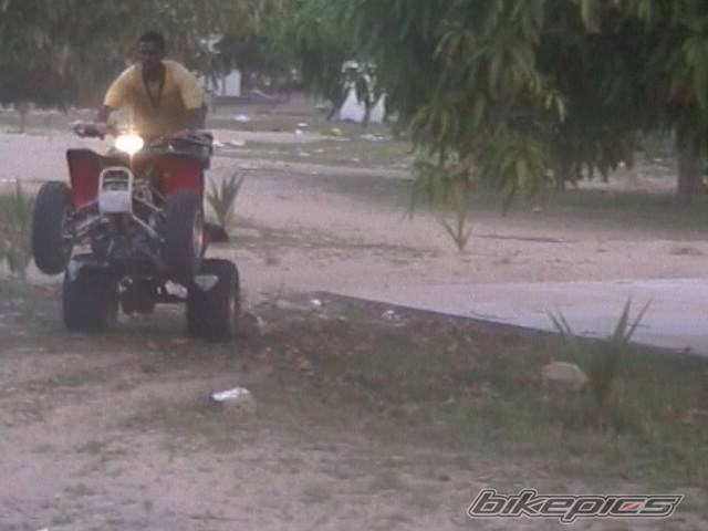 Photo 377372