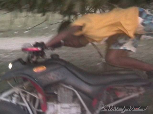 Photo 377374
