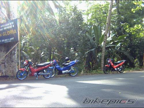 Photo 377394