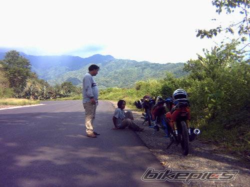 Photo 377395