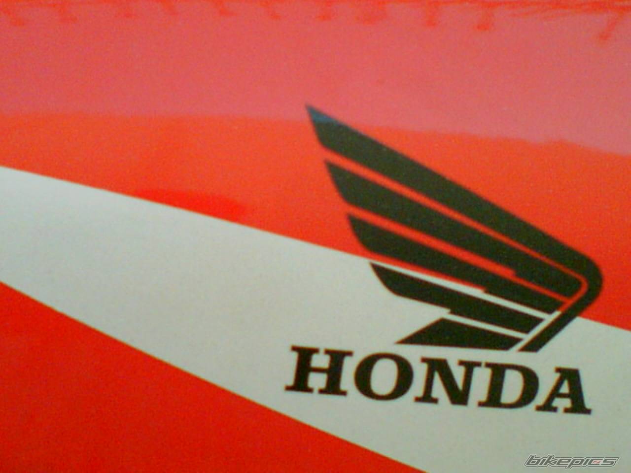 Photo 377440