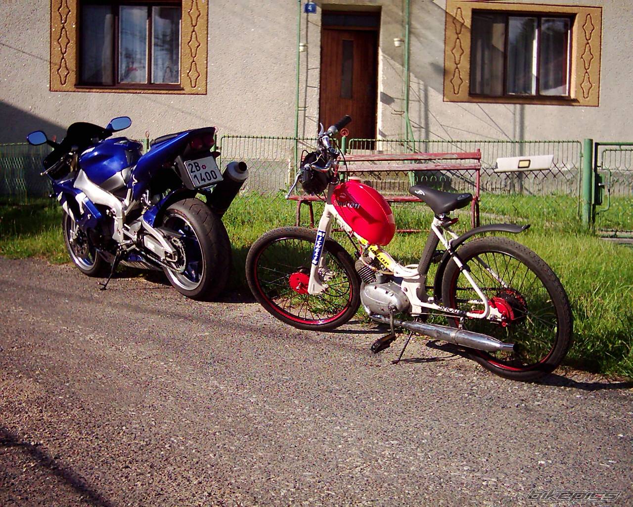 Photo 377469