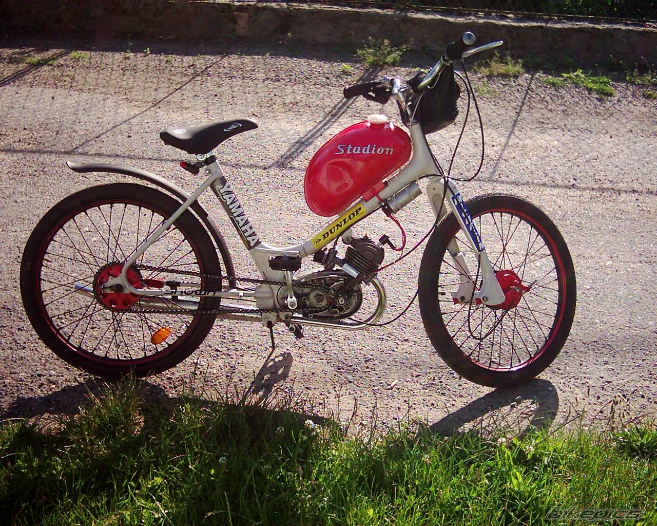 Photo 377470