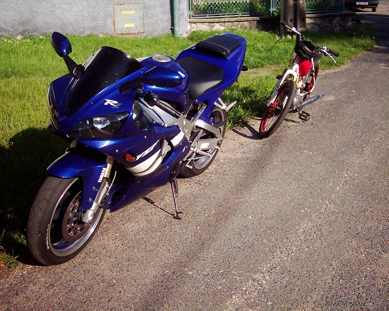 Photo 377471