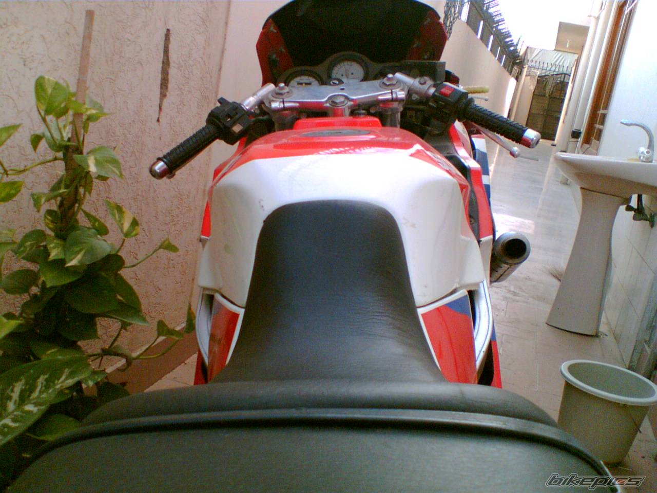 Photo 377530