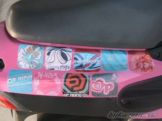 Photo 377538