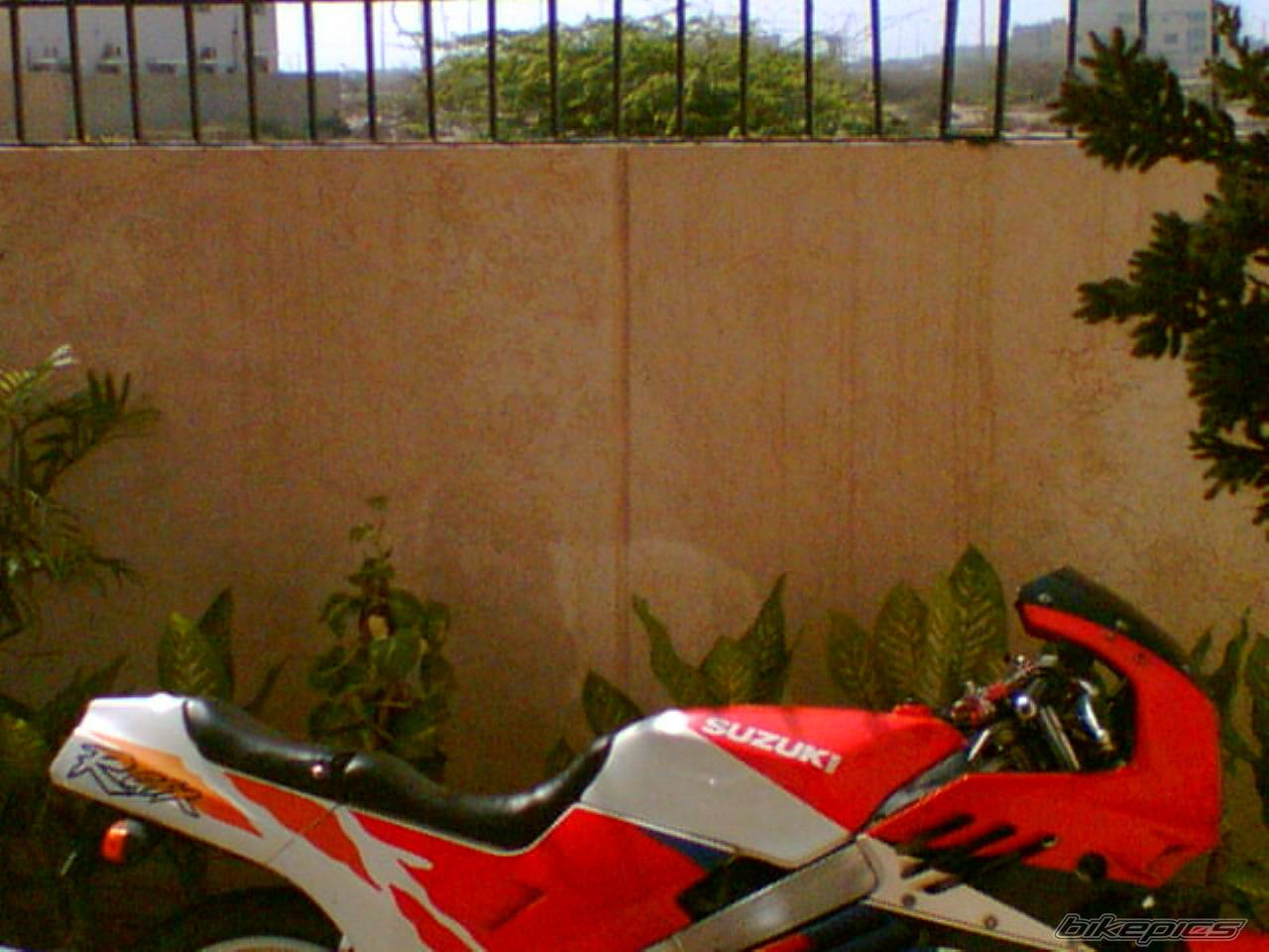 Photo 377554
