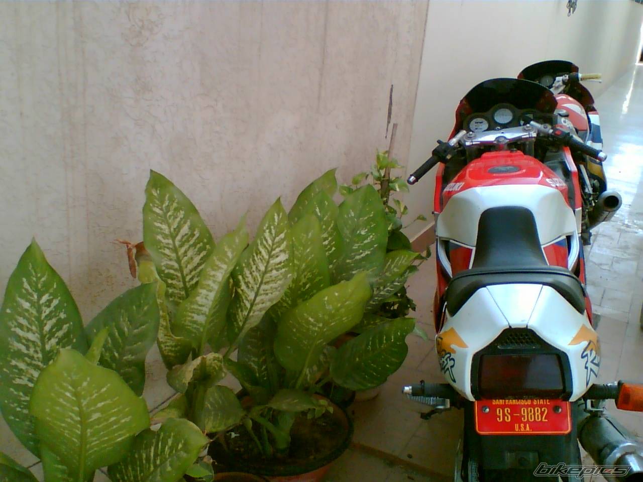 Photo 377564