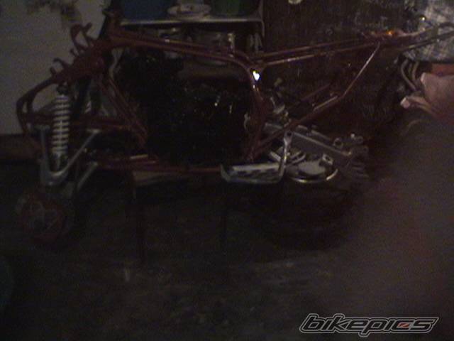 Photo 377642
