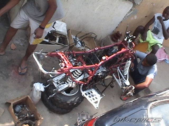 Photo 377646