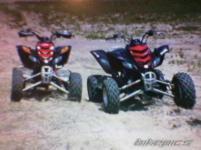 Photo 377707
