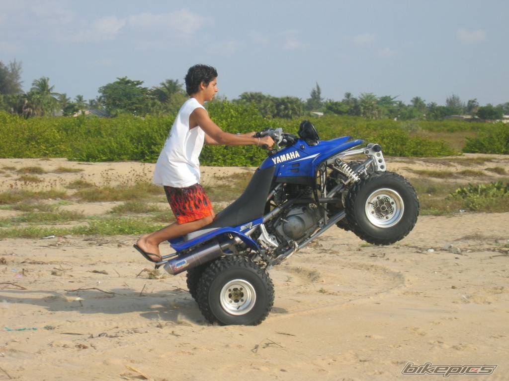 Bike Photo 377708