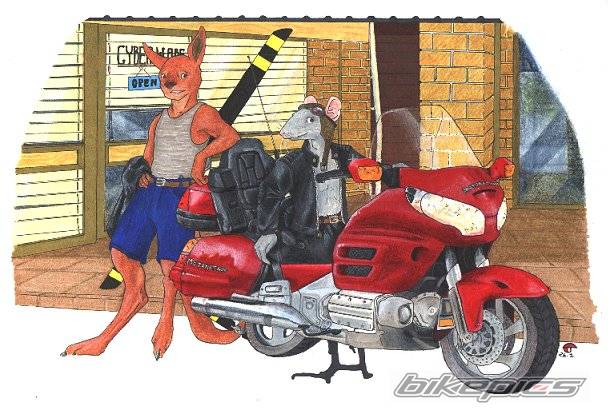 Bike Photo 37773