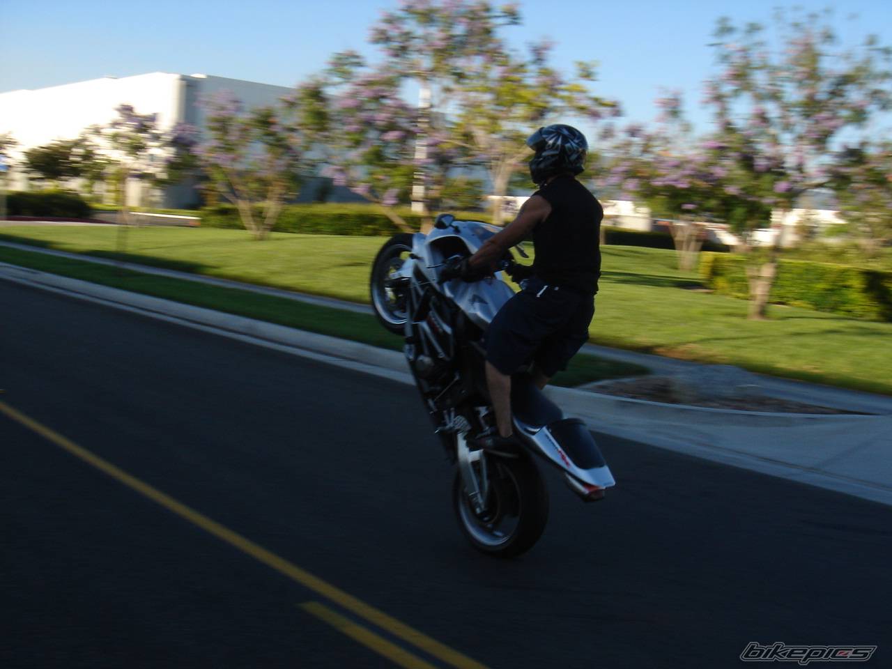 Photo 377924