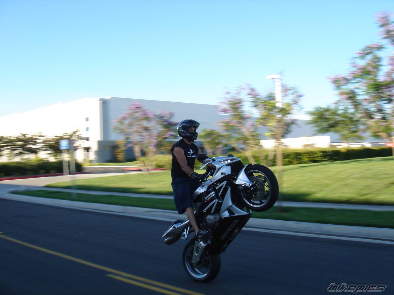 Photo 377927