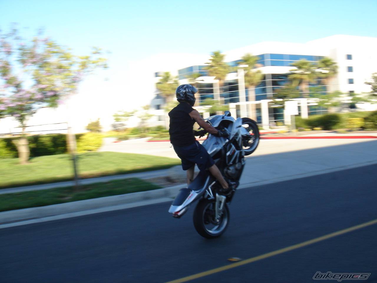 Photo 377929