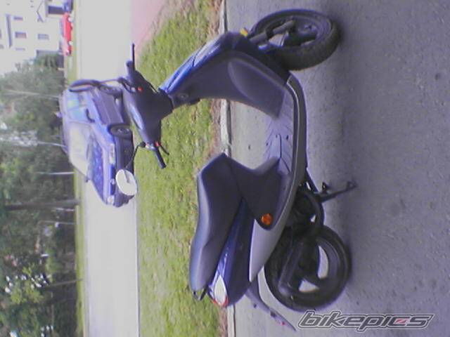 Photo 377934