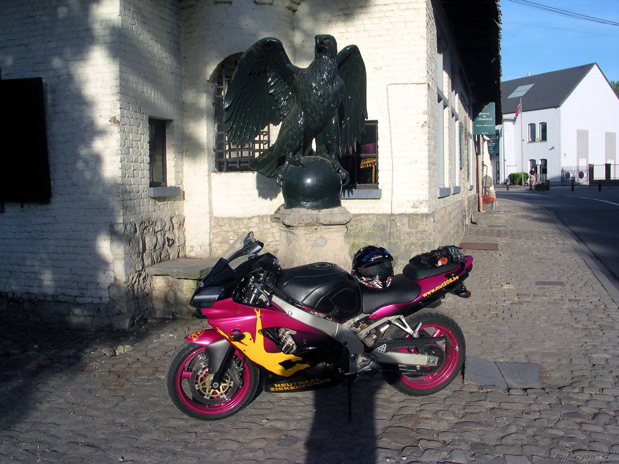 Photo 377947