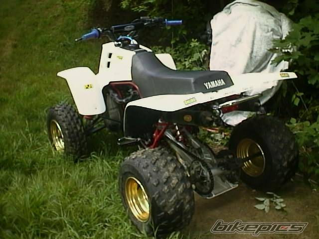 Photo 37803