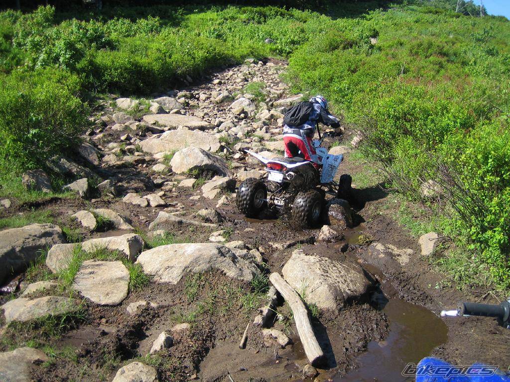 Bike Photo 378032