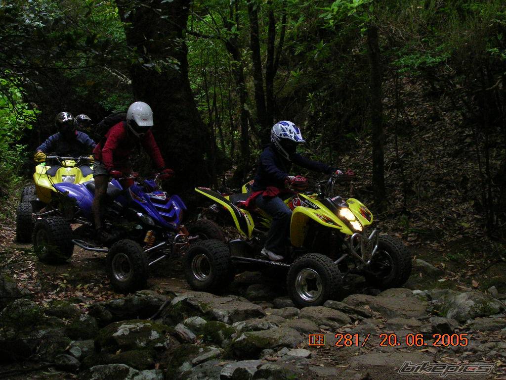 Photo 378056