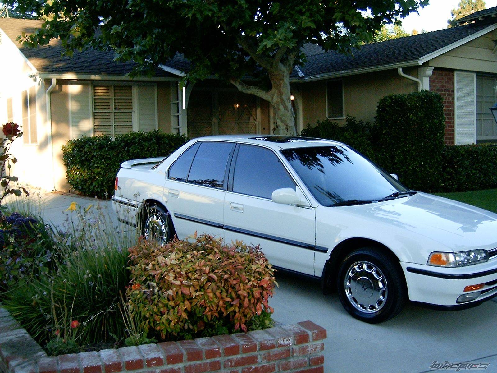 Accord EX