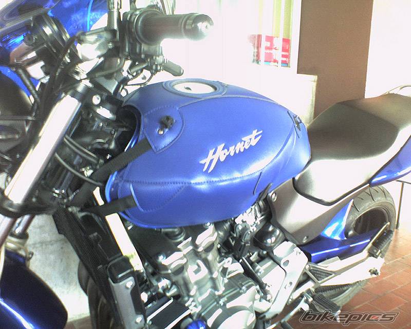 Photo 378256