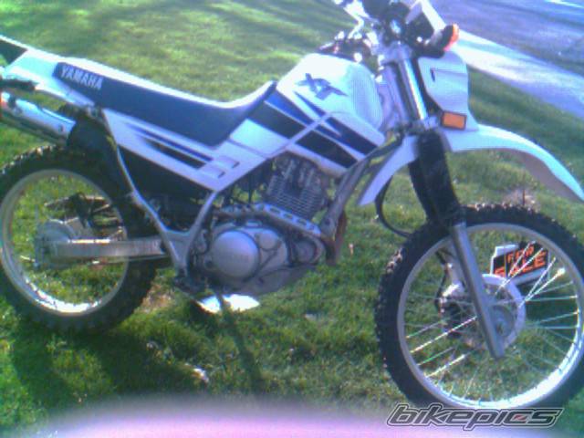 Photo 378292