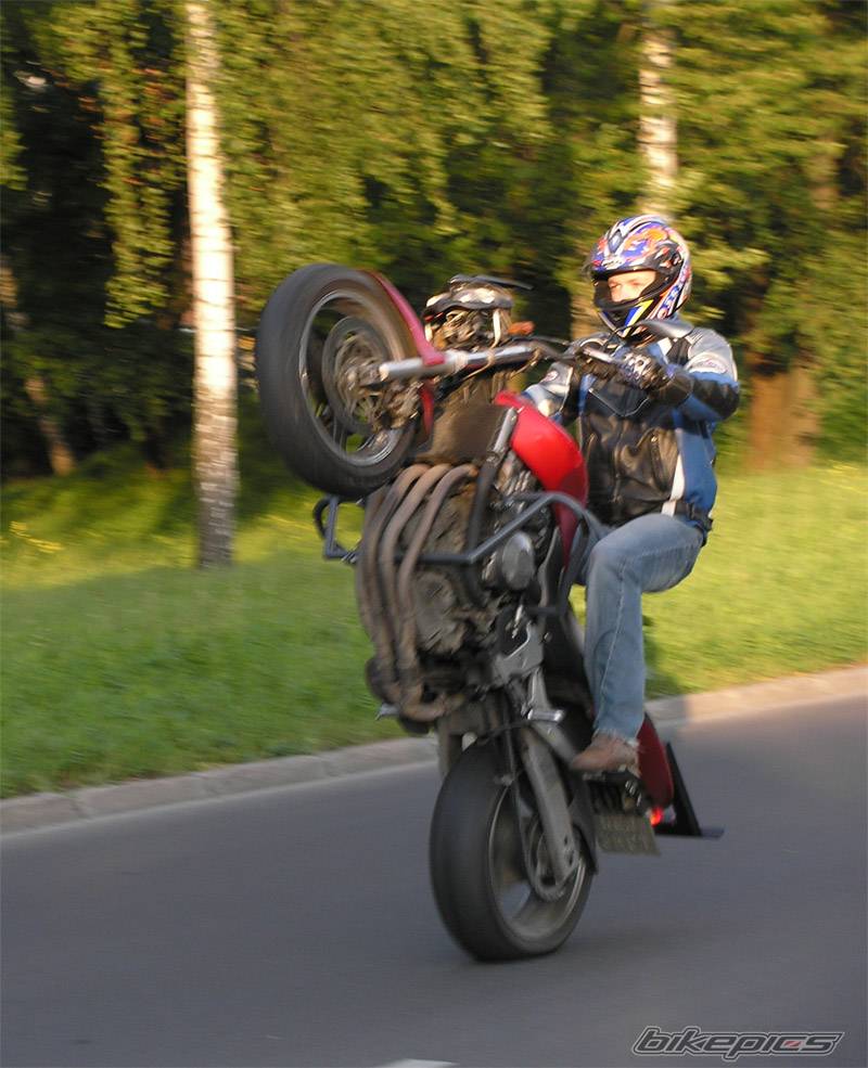 Bike Photo 378354