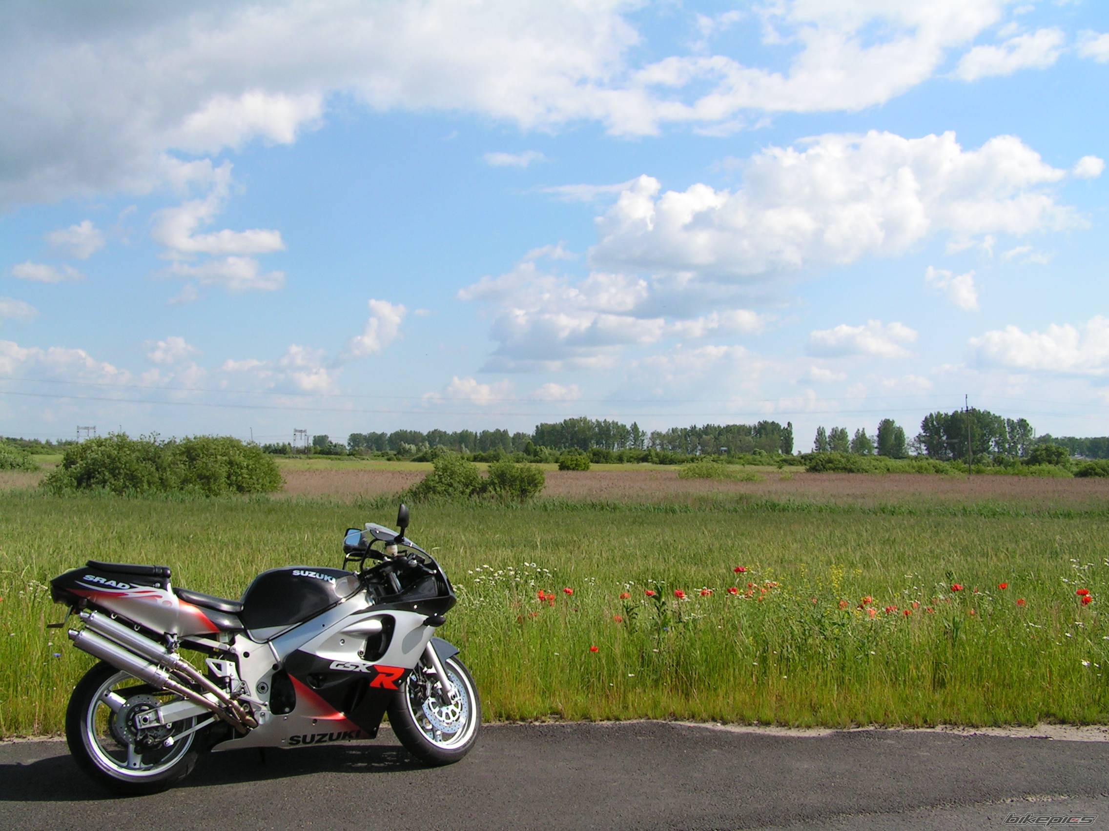 Bike Photo 378365