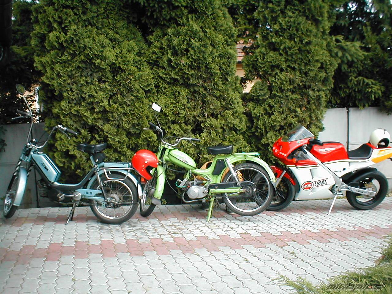 Photo 378398