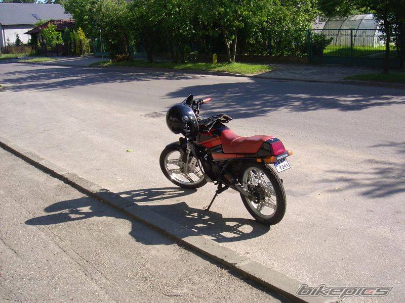 Photo 378568