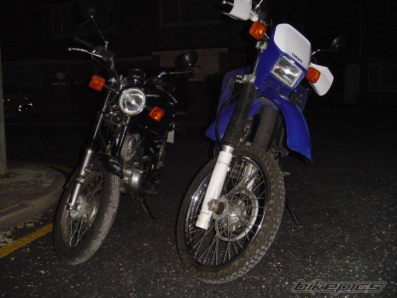 Photo 378597